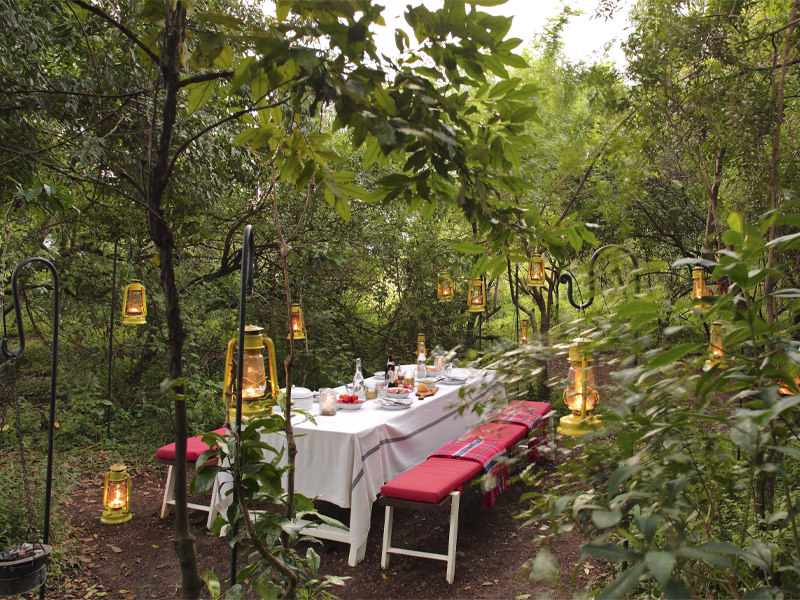 Pembury Tours - Kenya - Maasai Mara - Angama Mara - Dining
