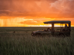 Pembury Tours - Kenya - Maasai Mara - Game Drive