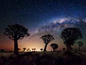 Pembury Tours-Namibia-Stars