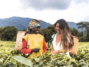 Pembury Tours - Nyungwe Forest Reserve - Rwanda - Activities - Tea Plantation Tour