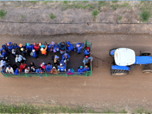 Pembury-Tours-Dirt Road-Tractor
