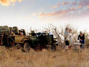 Pembury Tours - Senalala Luxury Lodge - Klaserie Game Reserve - Kruger National Park - South Africa - Game Drive Activities - Game Viewing - Sundowners