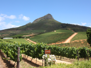Pembury Tours - Cape Winelands - Full Day Tour - Cape Town