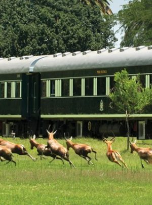 Pembury Tours - Rovos Rail Banner