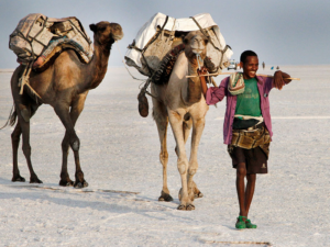 Pembury Tours - Ethiopia