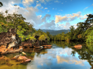 Pembury Tours - Madagascar - East Africa - Forest and Lake