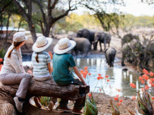 A mom and children watch elephants at a watering hole on a family-friendly safari
