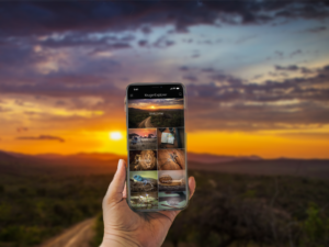 Pembury Tours - Safari Apps