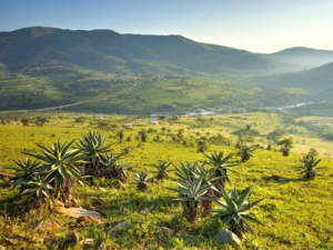 Pembury Tours - eSwatini /Swaziland - Ezulwini Valley
