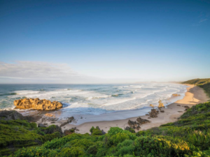 Pembury Tours - Blog - South Africa - Photos of the Garden Route