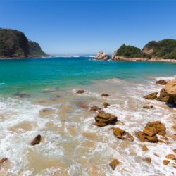 Pembury Tours - Featherbed Eco Nature Reserve - Knysna - Garden Route - Adventure Activities - Guided Walk
