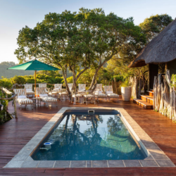 Pembury Tours - Tree Tops Safari Lodge -Lalibela Game Reserve - Eastern Cape - Accommodation - Pool
