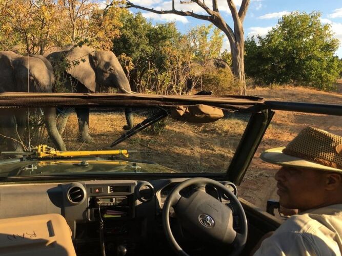 Pembury Tours - Elephant Valley Lodge - Chobe - Game Veiwing - Game Drive - Elephants
