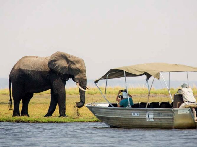 Pembury Tours - Ngoma Safari Lodge - Chobe National Park - Botswana - Game Viewing - Big 5 - River Cruise