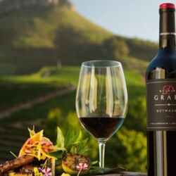 Pembury Tours - Cape Winelands - Full Day Tour - Cape Town - Wine Tasting - Food & Wine Pairing