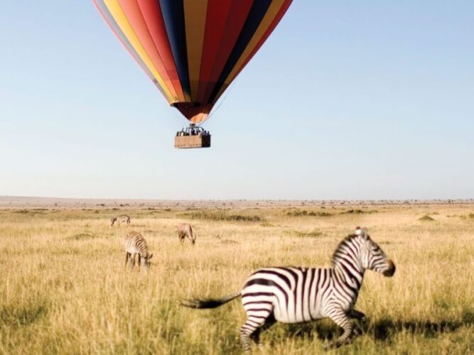 Pembury Tours - Tarangire National Park - Tanzania - Game Viewing - Game Drives - Hot Air Balloon Safari