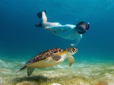 Pembury Tours - The Loop Beach Resort - Jambiani - Zanzibar - Adventure Activities - Snorkeling 2