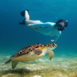 Pembury Tours - The Loop Beach Resort - Jambiani - Zanzibar - Adventure Activities - Snorkeling 2