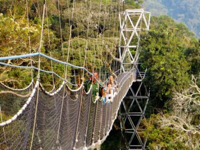 Pembury Tours - Nyungwe Top View Hill Hotel - Nyungwe National Park - Rwanda - Activities - Canopy Walk