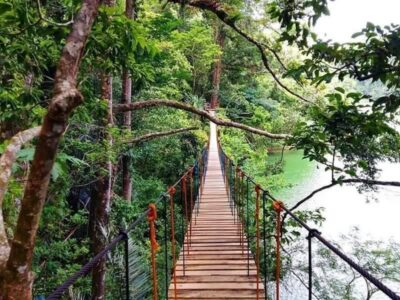 Pembury Tours - Nyungwe Top View Hill Hotel - Nyungwe National Park - Rwanda - Activities - Canopy Walk 3