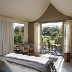 Pembury Tours - Simbavati River Lodge - Timbavati Game Reserve - Kruger National Park - Accommodation - Bedroom Tent 1