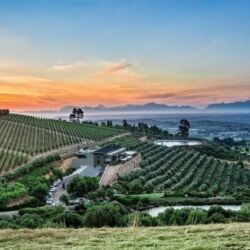 Pembury Tours - Cape Winelands - Full Day Tour - Cape Town - Wine Tasting