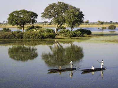 Pembury Tours - Okavango Delta - Game Viewing - Game Drives - Mokoro