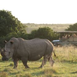 Pembury Tours - Lalibela - family safari - childrens game drive