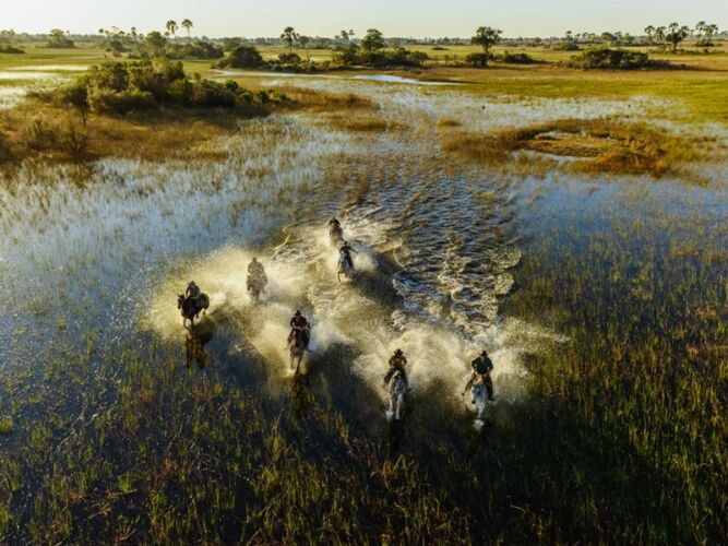 Pembury Tours - Okavango Delta - Adventure Activities - Horseback Safaris - Game Viewing
