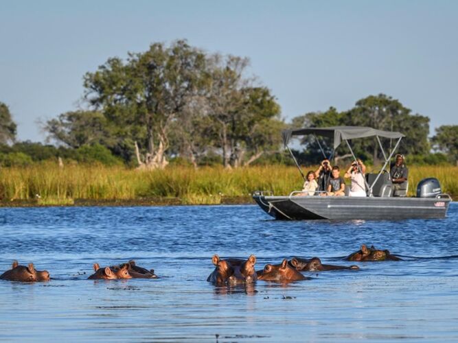 Pembury Tours - Okavango Delta - Adventure Activities - Boat Cruise - Game Viewing