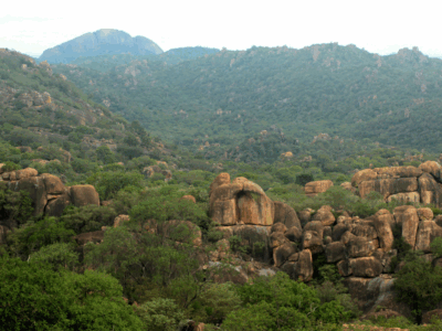 Greenery-Matobo Hills-Pembury Tours