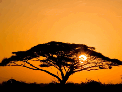 Pembury Tours - Amboseli - Sunset