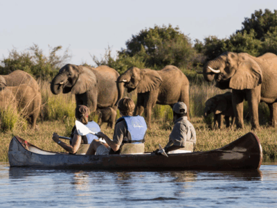 lower Zambezi ,canoe, elephants
