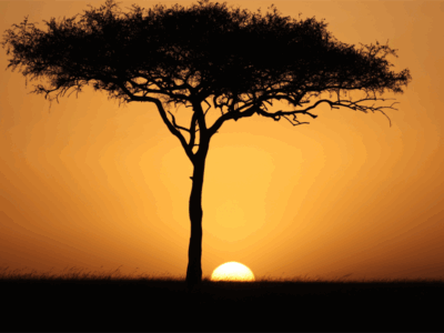 Pembury Tours - Maasai Mara - Sunset