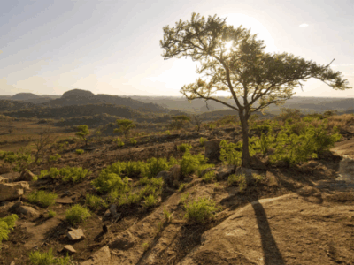 View-Matobo Hills-Pembury Tours