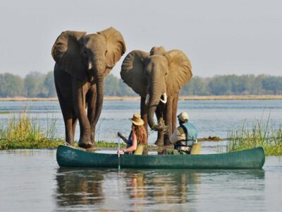 Pembury Tours - Victoria Falls - Zambezi River - Game Viewing - Kayak & Canoe Tours
