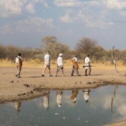 Pembury Tours - Dinaka Safari Lodge - Central Kalahari Game Reserve - Botswana - Game Viewing - Bush Walk - Walking Safaris