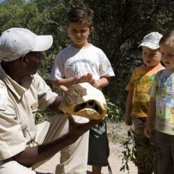 Pembury Tours - Sabi Sand Game Reserve - Elephant Plains Game Lodge - Game Drives - Game Viewing - Guide & Kids