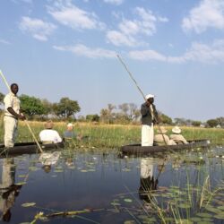 Pembury Tours - Shinde & Kanana Camp - Ker & Downey - Okavango Delta - Botswana - Game Viewing - Game Drives - Big Five - Leopard