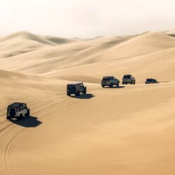 Pembury Tours - Swakopmund - Marine & Dune Safari - Sandwich Harbour - Namibian Wildlife - Namibia -Dune Driving