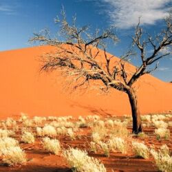 Pembury Tours - Sossusvlei - Guided Tour - Namibia - Dune Scenes