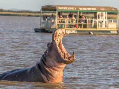 Pembury Tour - St Lucia Estuary - St Lucia - Wetlands - KwaZulu Natal - Wildlife - Game Viewing - Boat Cruise - Hippo & Crocodile