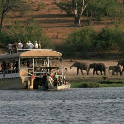Pembury Tours - Chobe Elephant Camp Lodge - Chobe National Park - Botswana - Activities - Game Viewing - Rive Boat Safari