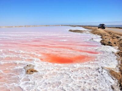 Pembury Tours - Walvis Bay - Swakopmund - Namibia - Namibian Wildlife - Self Drive Activities - Pink Salt Pans