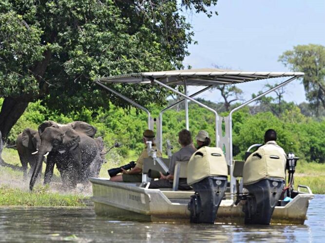 Pembury Tours - Chobe Princess - Chobe River - Botswana - Houseboat - Adventure Activities - River Cruise - Game Viewing - Boat Trip