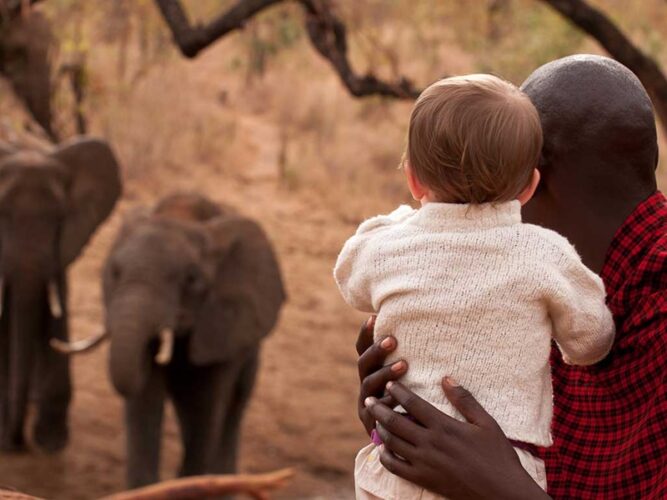 Pembury Tours - Tarangire Treetops Lodge - Tarangire National Park - Tanzania - East African Safari - Luxury Accommodation - Elephant Hide