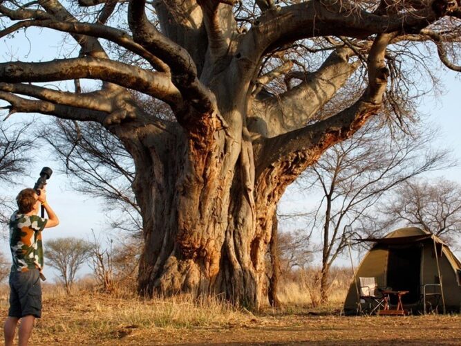 Pembury Tours - Mobile Explorer Camps - Tarangire National Park & Northern Serengeti National Park - Tanzania - East African Safari - Tented Accommodation - Tent Exterior