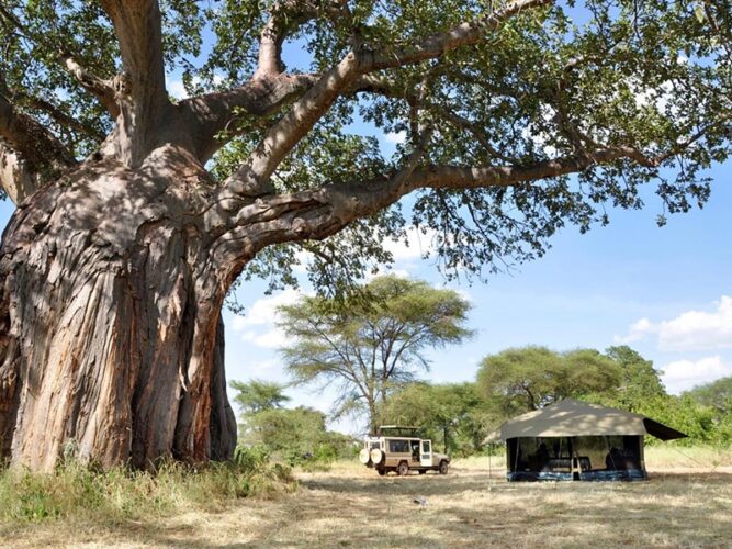 Pembury Tours - Mobile Explorer Camps - Tarangire National Park & Northern Serengeti National Park - Tanzania - East African Safari - Tented Accommodation - Tent Exterior