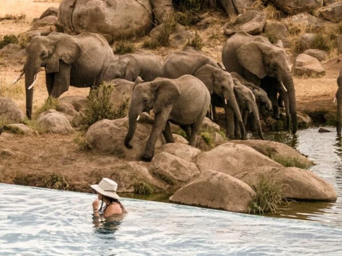 Pembury Tours - Four Seasons Serengeti - Serengeti National Park - Tanzania - East African Safari - Luxury Accommodation - Lodge Pool