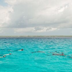 Pembury Tours - Blue Bay Beach Resort & Spa - Zanzibar - East Africa - Beach Accommodation - Beach Activities